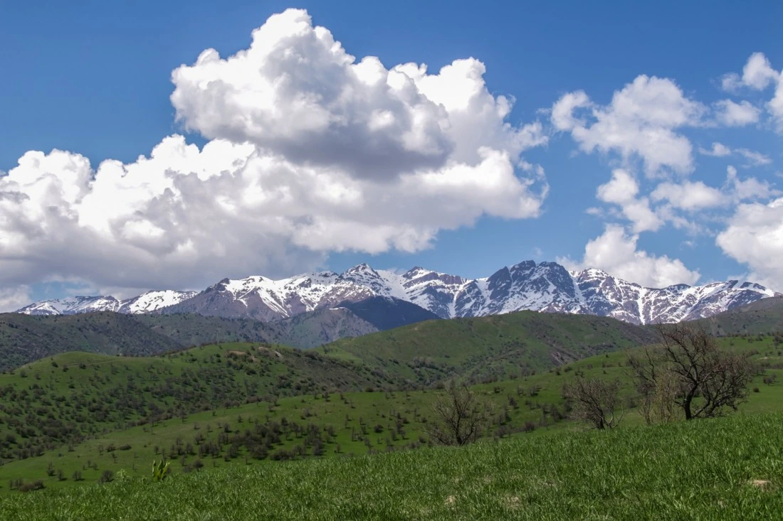 Natural landscape of Uzbekistan