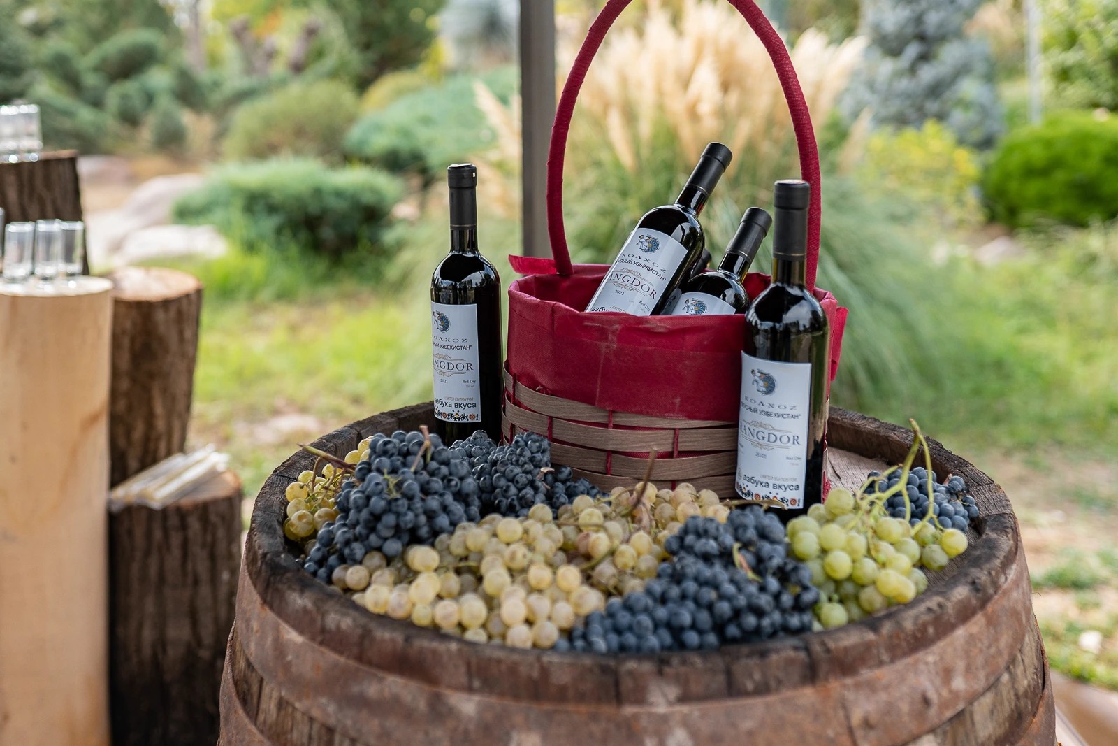 Wine tasting in Samarkand